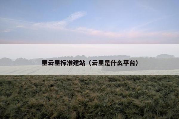 里云里标准建站（云里是什么平台）