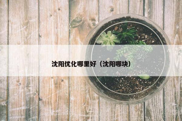 沈阳优化哪里好（沈阳哪块）
