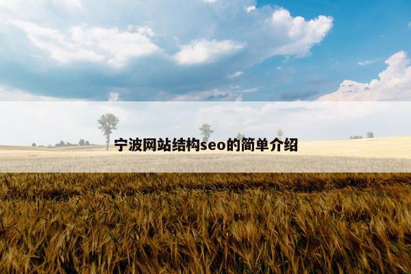 宁波网站结构seo的简单介绍