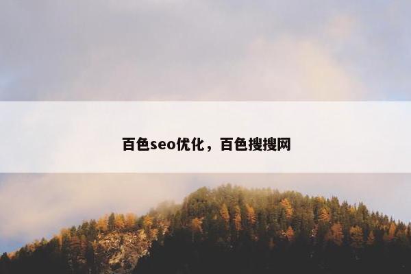 百色seo优化，百色搜搜网