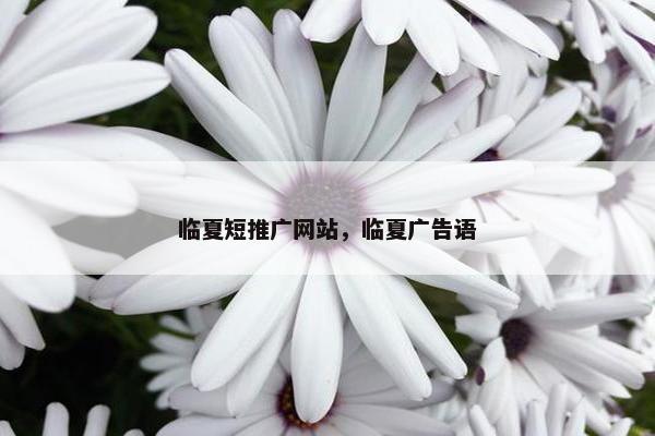 临夏短推广网站，临夏广告语