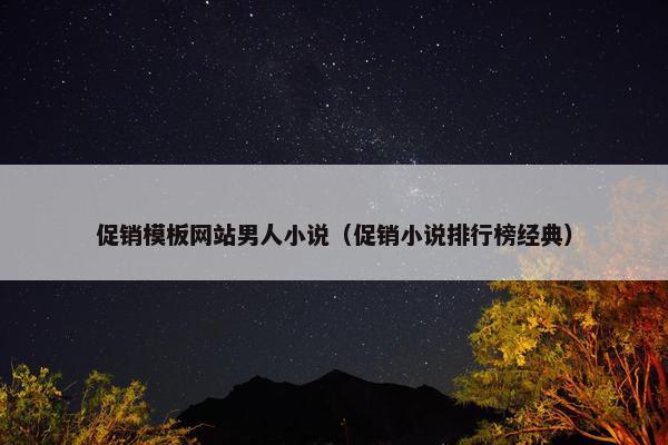 促销模板网站男人小说（促销小说排行榜经典）