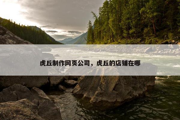 虎丘制作网页公司，虎丘的店铺在哪