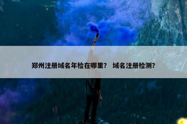 郑州注册域名年检在哪里？ 域名注册检测？
