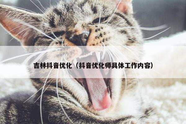 吉林抖音优化（抖音优化师具体工作内容）