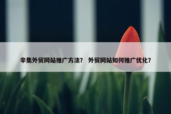 辛集外贸网站推广方法？ 外贸网站如何推广优化？