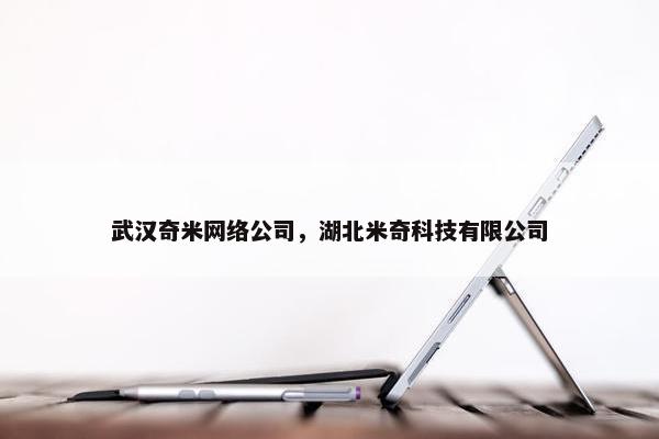 武汉奇米网络公司，湖北米奇科技有限公司