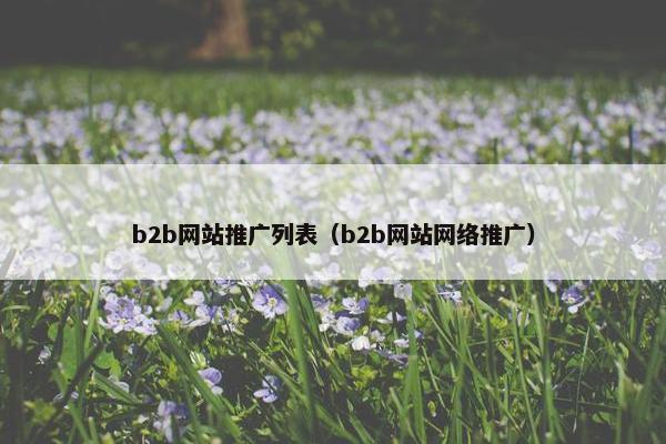 b2b网站推广列表（b2b网站网络推广）