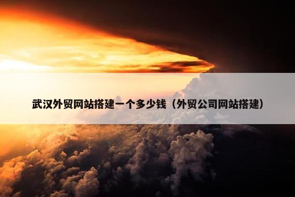 武汉外贸网站搭建一个多少钱（外贸公司网站搭建）