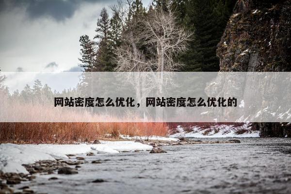 网站密度怎么优化，网站密度怎么优化的