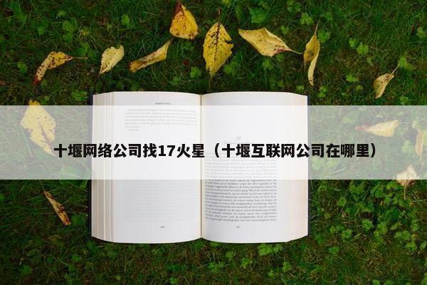 十堰网络公司找17火星（十堰互联网公司在哪里）
