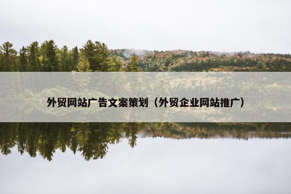 外贸网站广告文案策划（外贸企业网站推广）