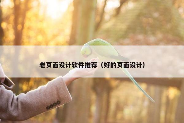 老页面设计软件推荐（好的页面设计）