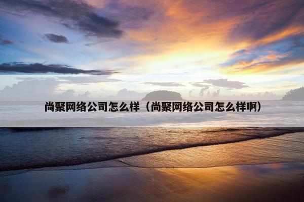 尚聚网络公司怎么样（尚聚网络公司怎么样啊）