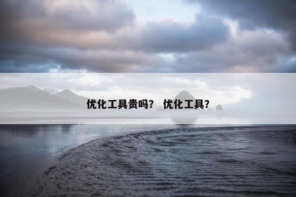 优化工具贵吗？ 优化工具？