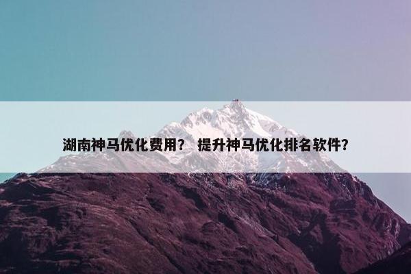 湖南神马优化费用？ 提升神马优化排名软件？