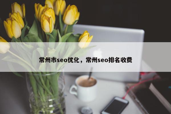 常州市seo优化，常州seo排名收费