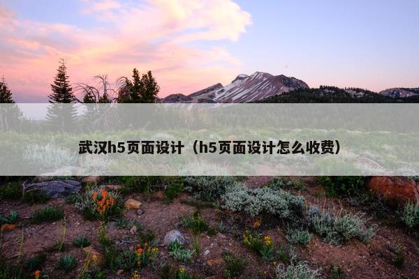 武汉h5页面设计（h5页面设计怎么收费）