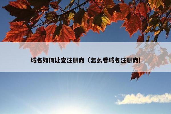 域名如何让查注册商（怎么看域名注册商）