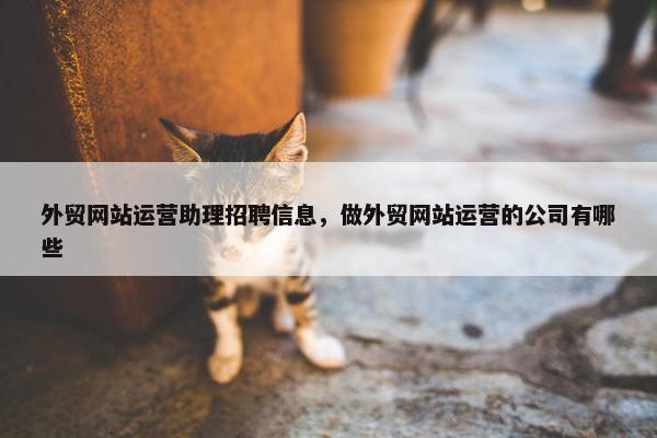 外贸网站运营助理招聘信息，做外贸网站运营的公司有哪些