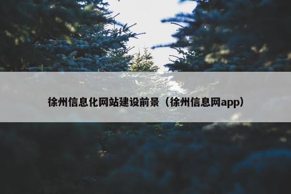 徐州信息化网站建设前景（徐州信息网app）