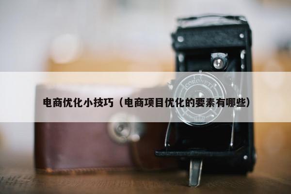 电商优化小技巧（电商项目优化的要素有哪些）