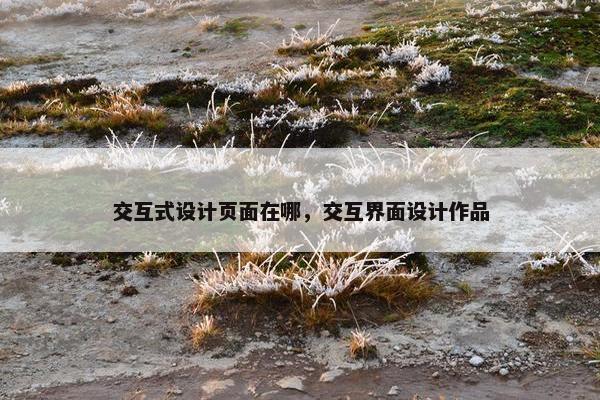 交互式设计页面在哪，交互界面设计作品