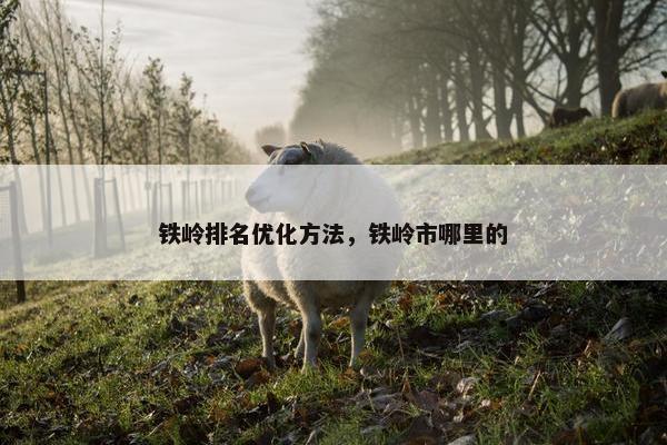 铁岭排名优化方法，铁岭市哪里的