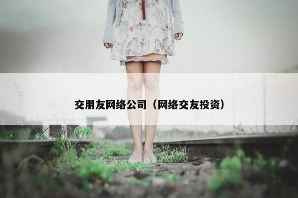 交朋友网络公司（网络交友投资）