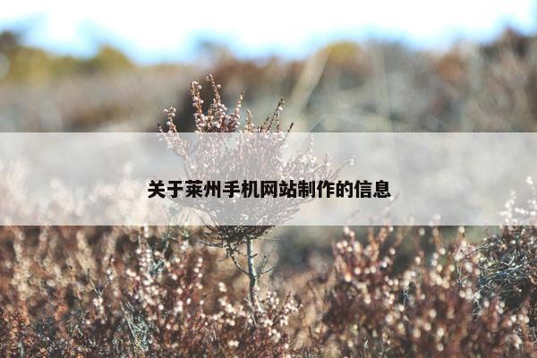 关于莱州手机网站制作的信息