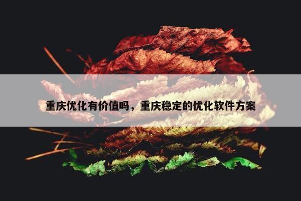 重庆优化有价值吗，重庆稳定的优化软件方案
