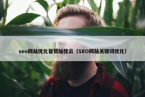 seo网站优化皆赞站优云（SEO网站关键词优化）