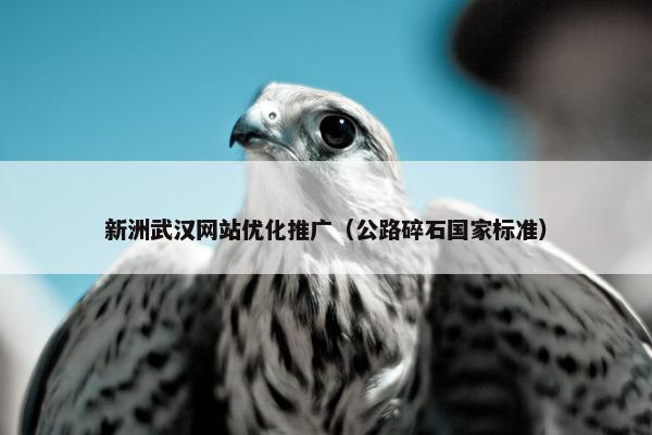 新洲武汉网站优化推广（公路碎石国家标准）
