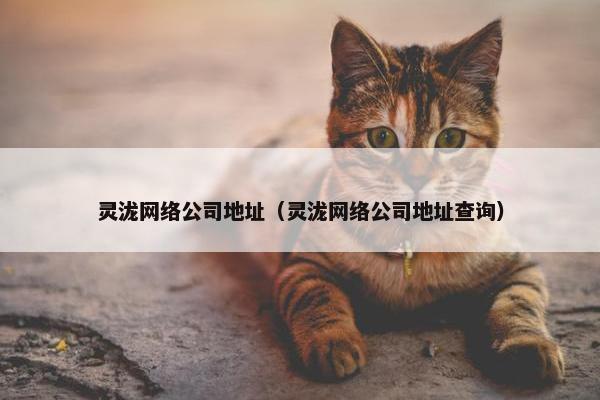 灵泷网络公司地址（灵泷网络公司地址查询）