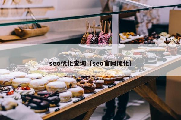 seo优化查询（seo官网优化）
