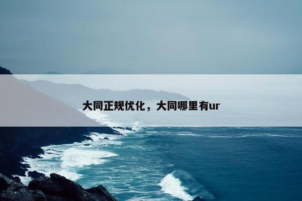 大同正规优化，大同哪里有ur