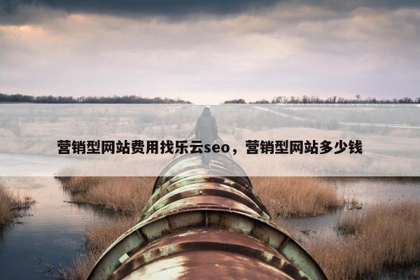营销型网站费用找乐云seo，营销型网站多少钱