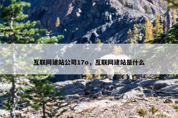 互联网建站公司17o，互联网建站是什么