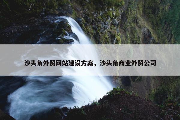 沙头角外贸网站建设方案，沙头角商业外贸公司