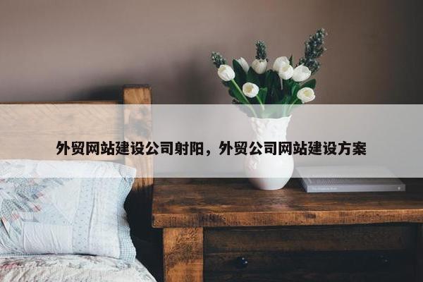 外贸网站建设公司射阳，外贸公司网站建设方案