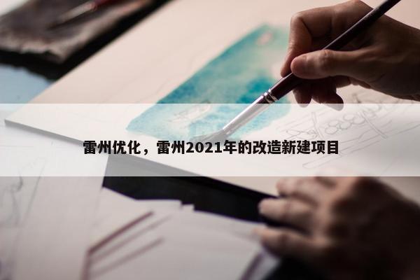 雷州优化，雷州2021年的改造新建项目