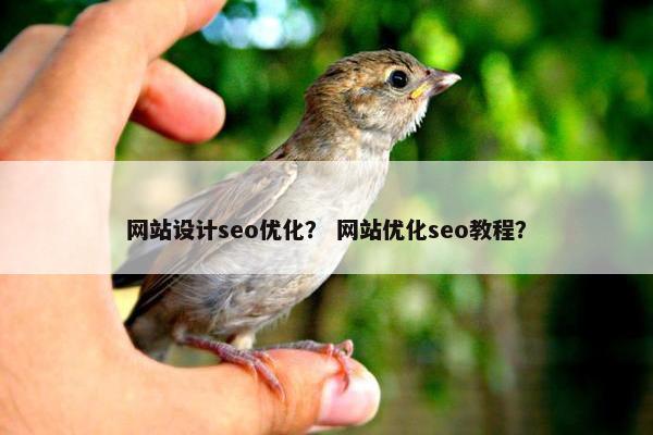 网站设计seo优化？ 网站优化seo教程？
