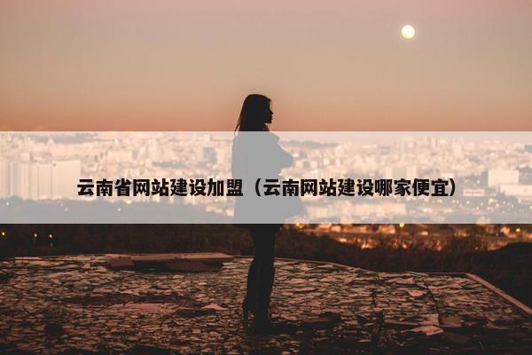云南省网站建设加盟（云南网站建设哪家便宜）