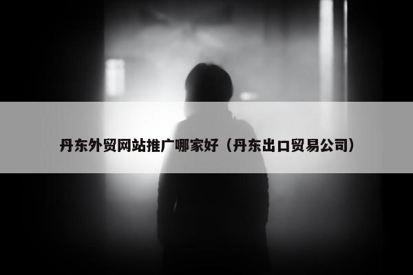 丹东外贸网站推广哪家好（丹东出口贸易公司）