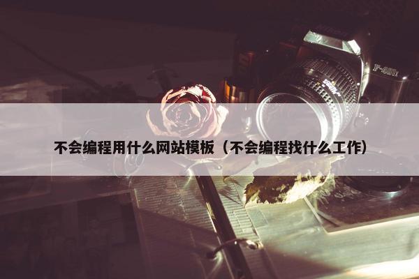 不会编程用什么网站模板（不会编程找什么工作）