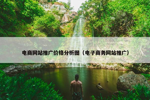 电商网站推广价格分析图（电子商务网站推广）