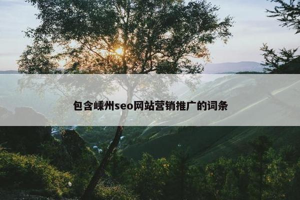 包含嵊州seo网站营销推广的词条
