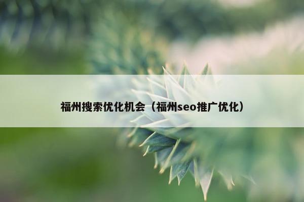 福州搜索优化机会（福州seo推广优化）