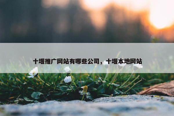 十堰推广网站有哪些公司，十堰本地网站