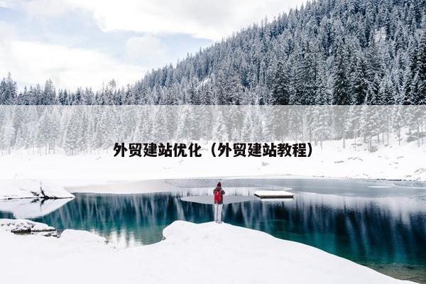 外贸建站优化（外贸建站教程）